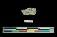 藏品(百足石)的圖片